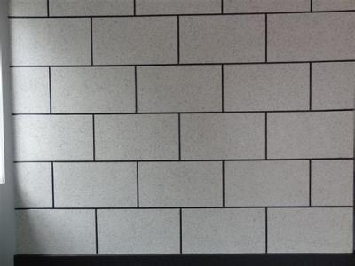 艺彩JN体育高级瓷砖粘结剂:重磅案例获行业力荐