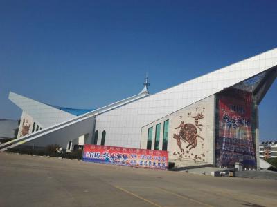 艺彩JN体育瓷砖粘结剂优秀案例之：齐齐哈尔波司登体育馆