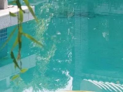 高效防水耐腐蚀：JN体育超强水池涂料