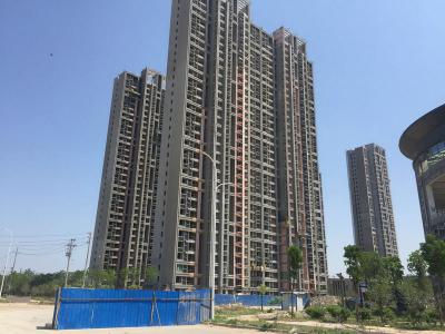 品质开路 实力见证：JN体育瓷砖粘结剂精品工程之郑州永威西郡滨河花园项目