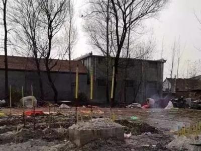 5.7米高粱引祭拜，99%这样的人都在临时抱佛脚！