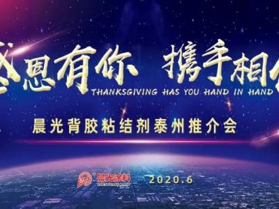 &ldquo;感恩有你 携手相伴&rdquo;，JN体育背胶粘结剂泰州推介会圆满举办